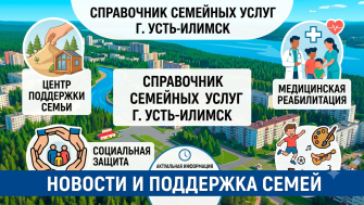 Организаций в городе Усть-Илимске, оказывающих помощь семьям по различным категориям услуг.