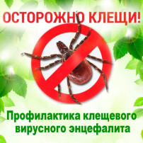 Информационные материалы по профилактике укусов клещей и заболеваемости инфекциями, передающимися через укус клеща Информационные материалы по профилактике укусов клещей и заболеваемости инфекциями, передающимися через укус клеща.
